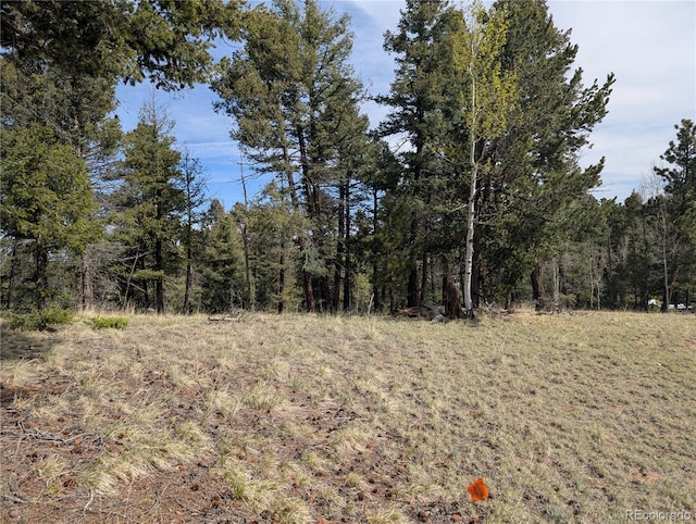 971 Spring Valley Ln, Florissant, CO 80816