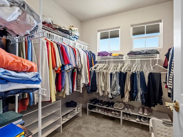 walk in closet featuring carpet floors