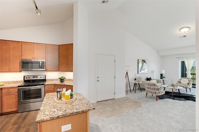804 Summer Hawk Dr Unit 7301, Longmont, CO 80504 - kitchen featuring light stone counters, stainless steel appliances, high vaulted ceiling, track lighting, and open floor plan