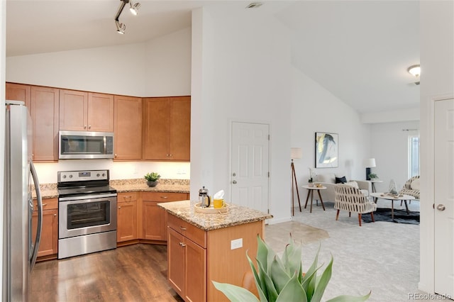 804 Summer Hawk Dr Unit 7301, Longmont, CO 80504 - kitchen with stainless steel appliances, open floor plan, light stone counters, a kitchen island, and high vaulted ceiling