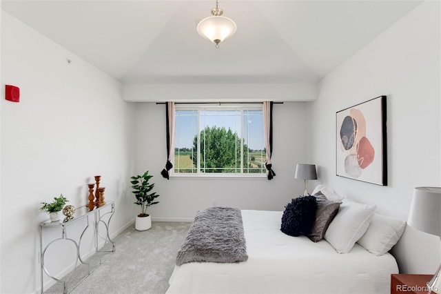 804 Summer Hawk Dr Unit 7301, Longmont, CO 80504 - bedroom featuring carpet floors, lofted ceiling, and baseboards