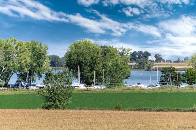 804 Summer Hawk Dr Unit 7301, Longmont, CO 80504 - view of water feature