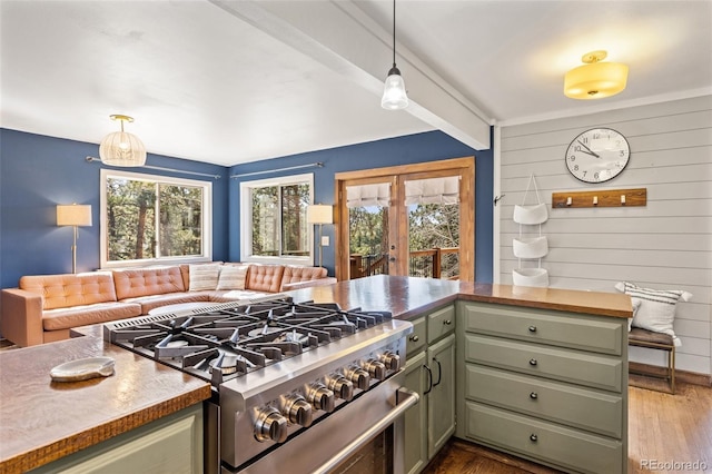377 Homestead Rd, Bailey, CO 80421 - kitchen featuring high end stainless steel range oven, green cabinetry, wood finished floors, wood walls, and decorative light fixtures