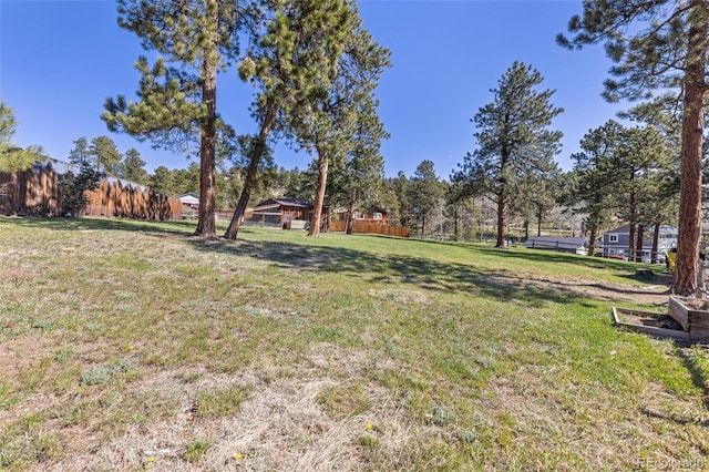 377 Homestead Rd, Bailey, CO 80421 - view of yard