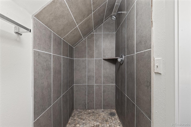 377 Homestead Rd, Bailey, CO 80421 - full bathroom with a tile shower