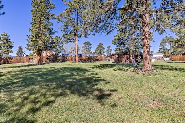 377 Homestead Rd, Bailey, CO 80421 - view of fenced backyard