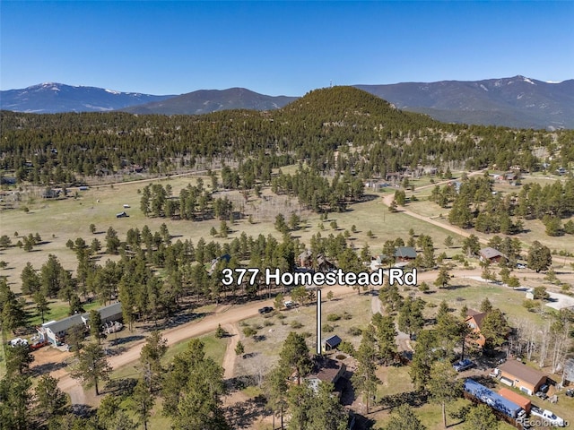 377 Homestead Rd, Bailey, CO 80421 - aerial view of property and surrounding area with a mountain backdrop
