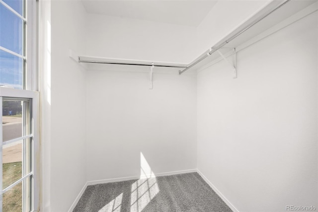 18527 E Kansas Pl, Aurora, CO 80017 - walk in closet featuring carpet floors