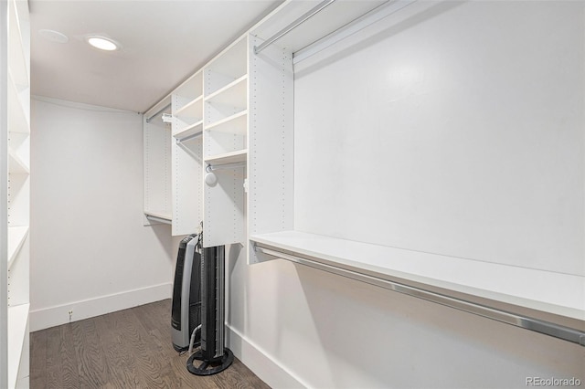 726 S Corona St, Denver, CO 80209 - spacious closet with dark wood-style floors