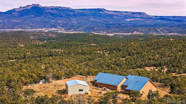 aerial view featuring a wooded view and a mountain view