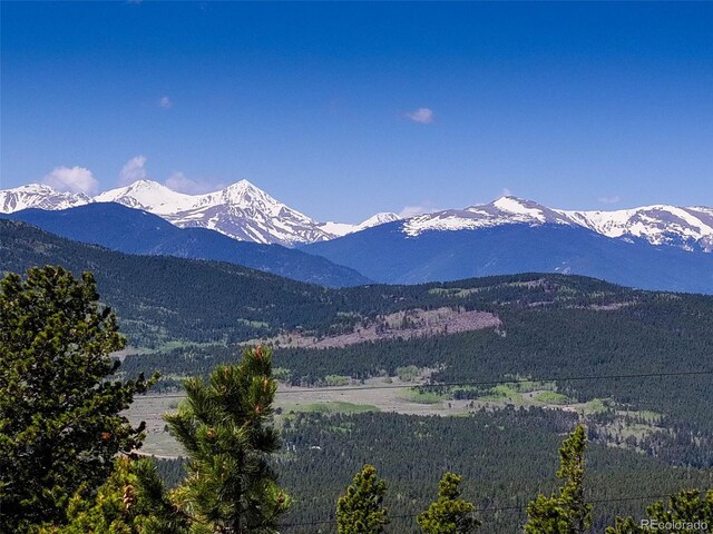 300 Badger Rd, Black Hawk, CO 80422 - photo 3