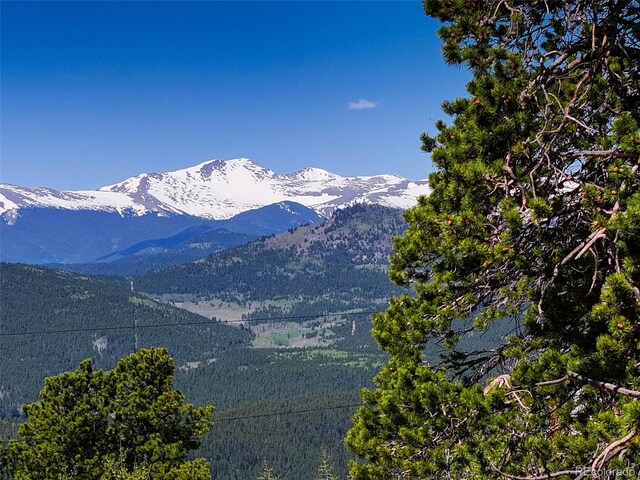 300 Badger Rd, Black Hawk, CO 80422 - photo 4