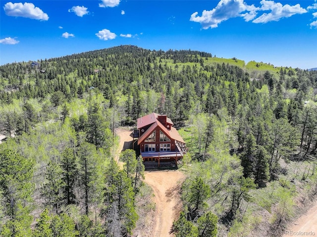 300 Badger Rd, Black Hawk, CO 80422 - photo 5
