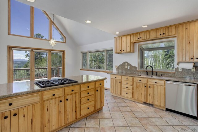 300 Badger Rd, Black Hawk, CO 80422 - photo 15