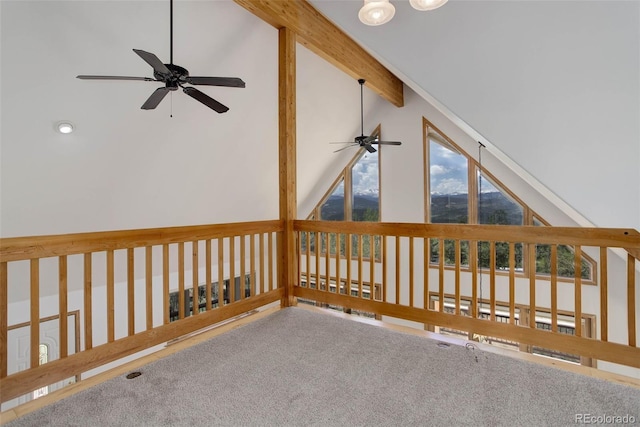 300 Badger Rd, Black Hawk, CO 80422 - photo 18