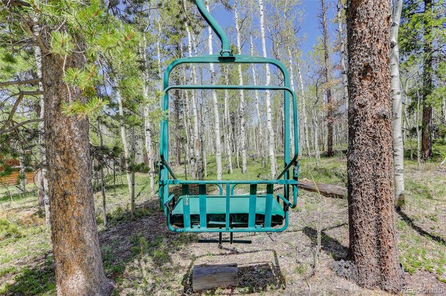 300 Badger Rd, Black Hawk, CO 80422 - photo 33