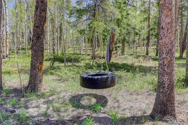 300 Badger Rd, Black Hawk, CO 80422 - photo 34