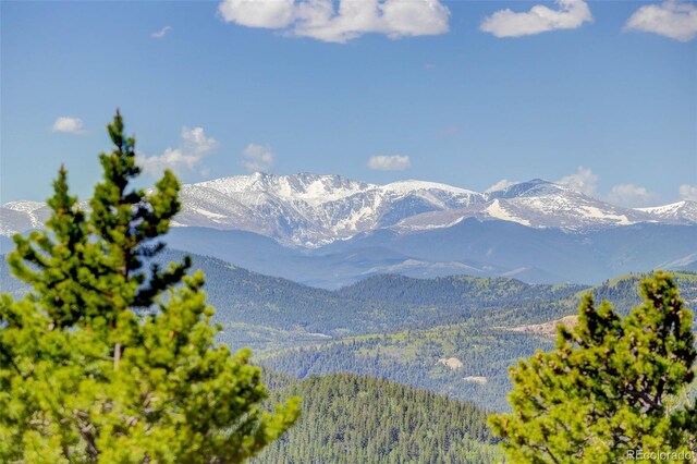300 Badger Rd, Black Hawk, CO 80422 - photo 39
