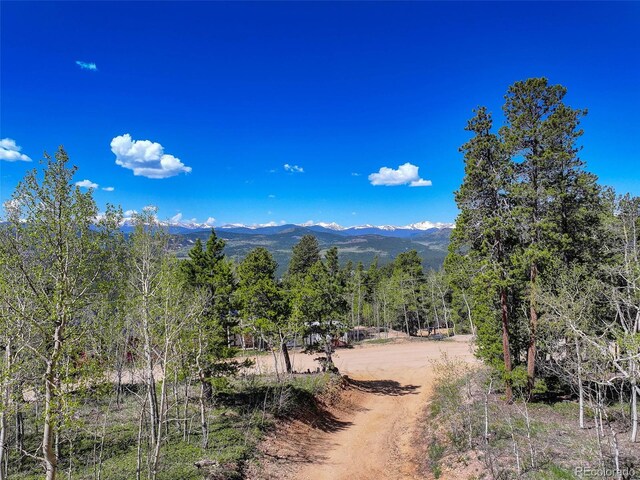 300 Badger Rd, Black Hawk, CO 80422 - photo 40