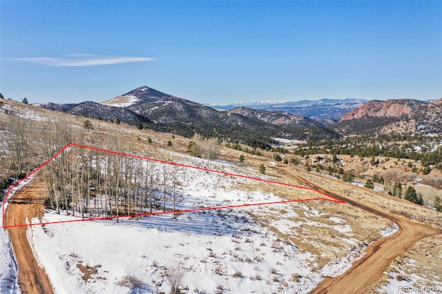 306 Troy Way, Cripple Creek, CO 80813