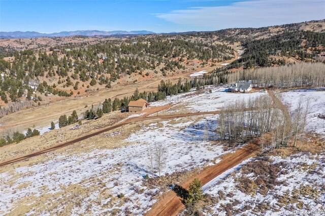 306 Troy Way, Cripple Creek, CO 80813