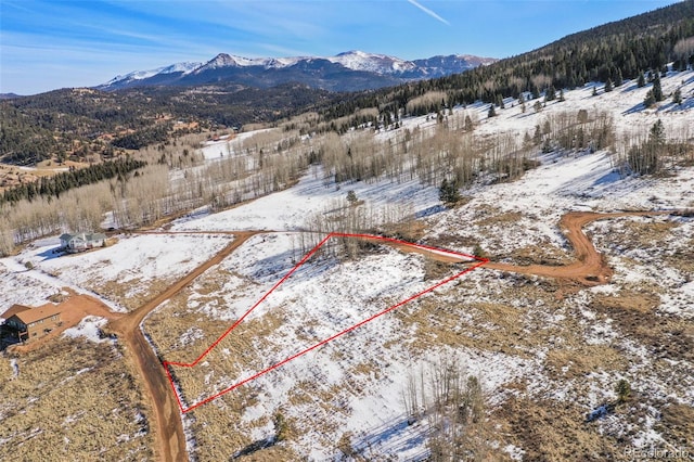 306 Troy Way, Cripple Creek, CO 80813