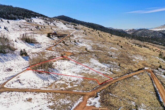 306 Troy Way, Cripple Creek, CO 80813
