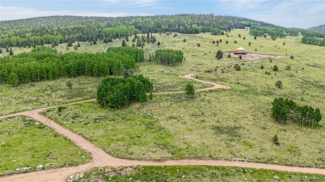 306 Troy Way, Cripple Creek, CO 80813 - photo 1