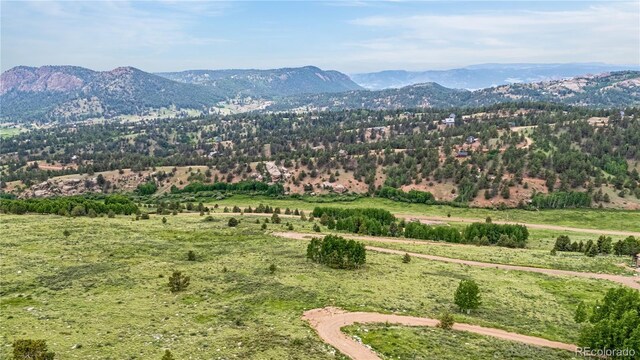 306 Troy Way, Cripple Creek, CO 80813 - photo 2