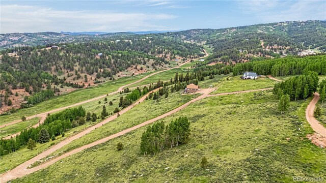 306 Troy Way, Cripple Creek, CO 80813 - photo 3