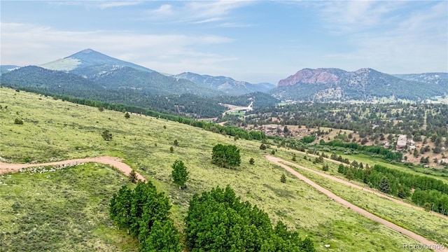 306 Troy Way, Cripple Creek, CO 80813 - photo 4