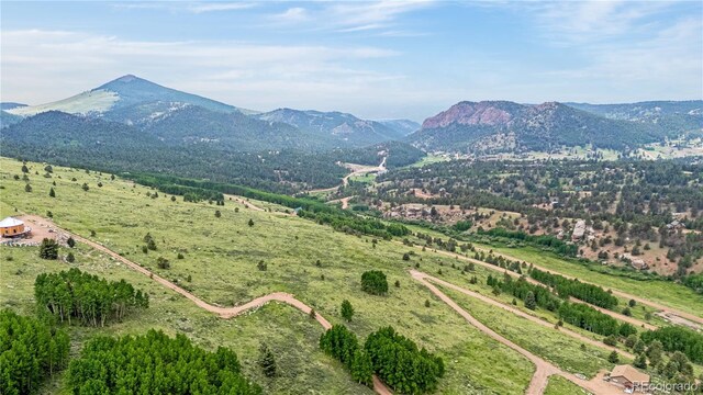 306 Troy Way, Cripple Creek, CO 80813 - photo 5