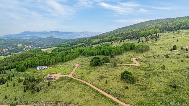306 Troy Way, Cripple Creek, CO 80813 - photo 6