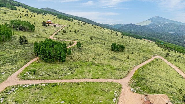 306 Troy Way, Cripple Creek, CO 80813 - photo 7