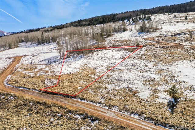 306 Troy Way, Cripple Creek, CO 80813 - photo 9