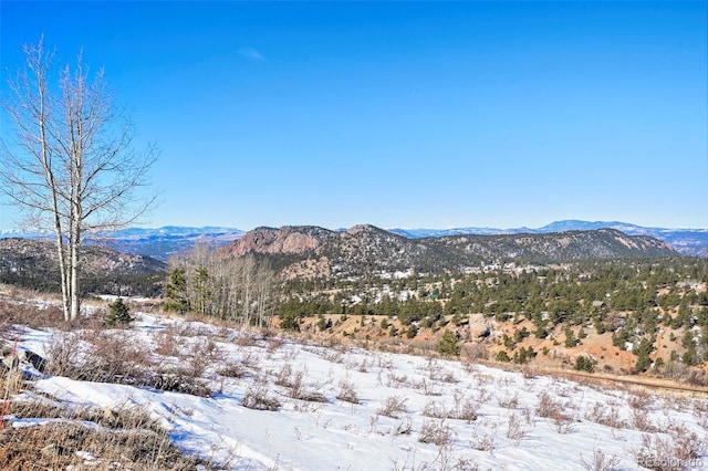 306 Troy Way, Cripple Creek, CO 80813 - photo 10
