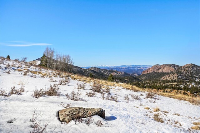 306 Troy Way, Cripple Creek, CO 80813 - photo 11