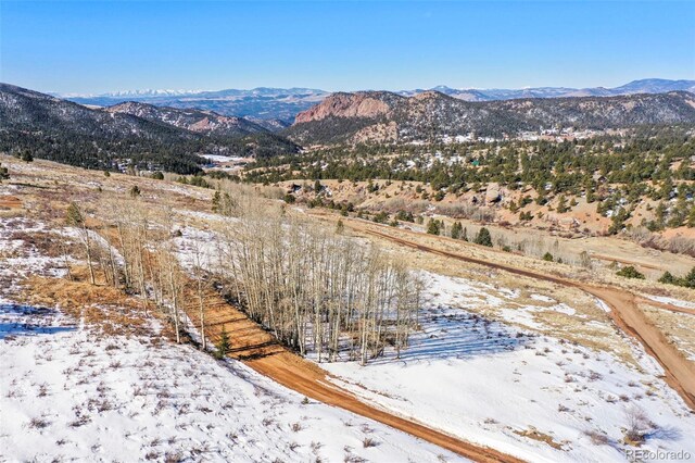 306 Troy Way, Cripple Creek, CO 80813 - photo 12