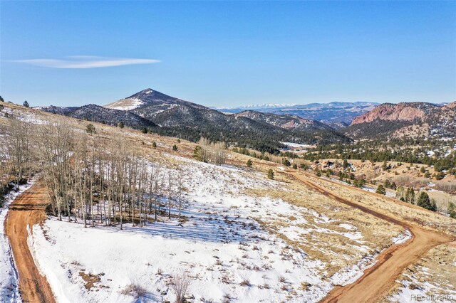 306 Troy Way, Cripple Creek, CO 80813 - photo 14