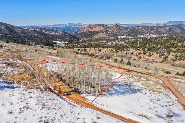 306 Troy Way, Cripple Creek, CO 80813 - photo 15