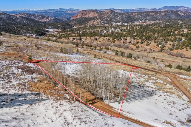 306 Troy Way, Cripple Creek, CO 80813 - photo 16
