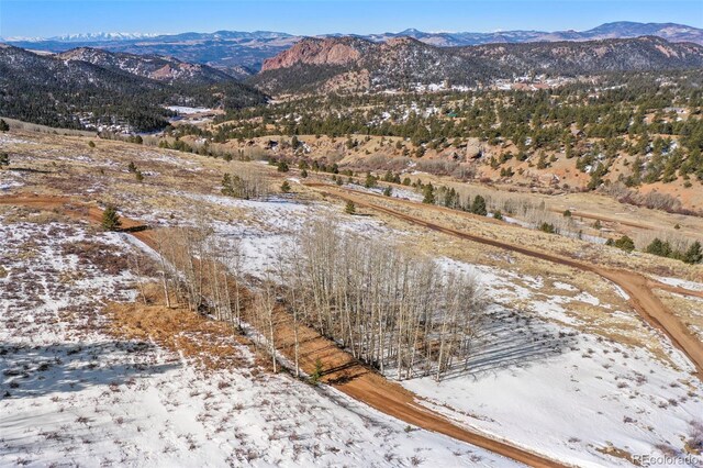 306 Troy Way, Cripple Creek, CO 80813 - photo 17