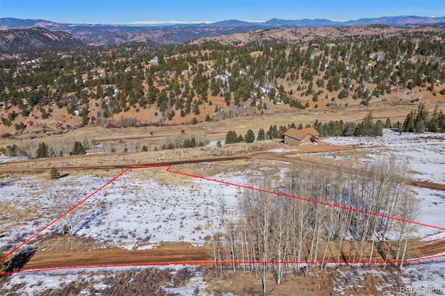 306 Troy Way, Cripple Creek, CO 80813 - photo 18
