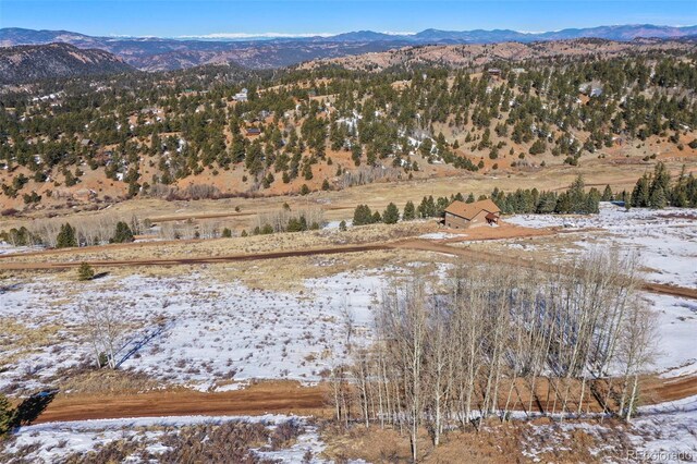 306 Troy Way, Cripple Creek, CO 80813 - photo 19