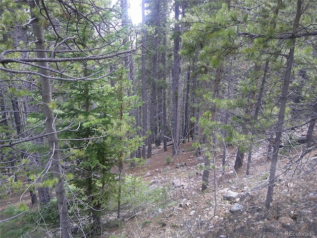 LOT440 Hillside Rd, Idaho Springs, CO 80452