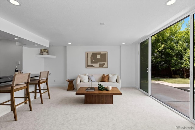 9161 W Lake Dr, Littleton, CO 80123 - carpeted living area with recessed lighting and baseboards