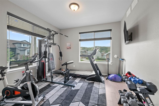 537 Sage Grouse Cir, Castle Rock, CO 80109 - photo 5
