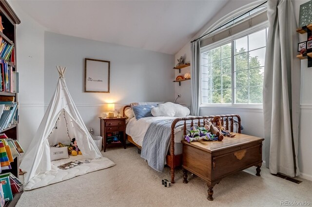 8927 Green Meadows Ln, Highlands Ranch, CO 80126 - photo 28