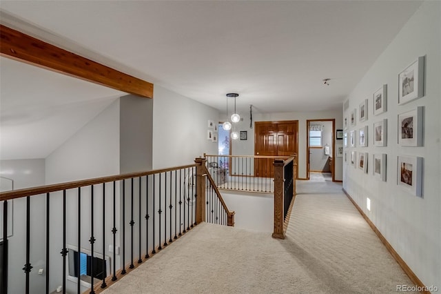 8927 Green Meadows Ln, Highlands Ranch, CO 80126 - photo 19