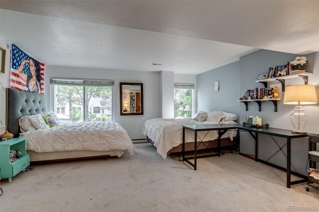 8927 Green Meadows Ln, Highlands Ranch, CO 80126 - photo 36